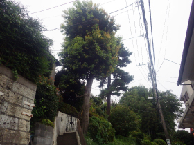 民家すれすれを登ります