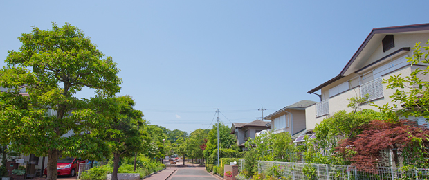 ロープクライミングとは