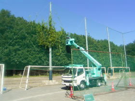 高所作業車が近づけない箇所でも剪定可能