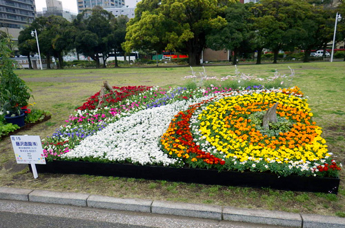 花壇展山下公園に出展いたしました。